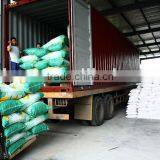 Spray Drying Detergent Powder thumbnail-1