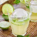 AN732 ANPHY 6 Holes Spherical Silicone Ice Mold for Whisky Drinks thumbnail-2