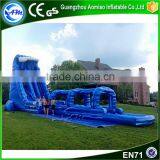 2016 New Point China Cheap Big Wet Inflatable Slide With Pool for Children and Adult Quality Choice thumbnail-4