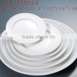 white porcelain round dinner plate