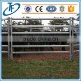 Best Selling Used Corral Panels and Galvanized Used Corral Panels thumbnail-1