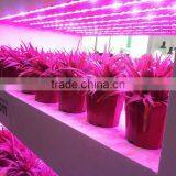 Plant Induction Grow Lamp 40w-300w