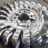 Pelton Turbine Generator Set