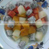 Frozen Mixed Fruits