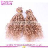 2016 Most Popular 100% 8 Inch Clip-in Human Hair Extensions Human Curly Blonde Clip in Hair Extensions for White Women thumbnail-3