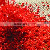 Goji Juice Concentrate Berry Distributors thumbnail-2