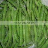 Good Quality IQF Green Bean Cuts thumbnail-1