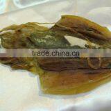 100% PURITY DRIED CUTTLEFISH