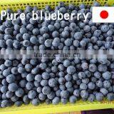 Pure Blueberry Jam Made in Japan thumbnail-2