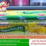 Canned Sweet Corn Manufacturer in China