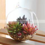 Clear Hanging Crystal Glass Globe