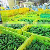 Binh Minh Food Joint Stock Company company overview - view 3 thumbnail