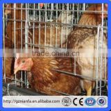 Hot sale in philippines poultry farming galvanized welded wire chicken cages (Guangzhou Factory)