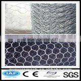 Top Supplier Gabion Wire Mesh/Hexagonal Wire Netting thumbnail-6
