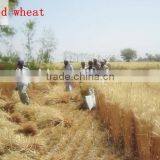 2015 Hot Sale Reaper Binder Machine thumbnail-4