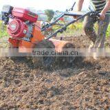TUOGE 8HP Power Tiller Walking Tractor For Agriculture With CE thumbnail-2