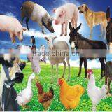 2015 New Products Vertical Grain Mixer / Grain Mixer With CE Approved thumbnail-4