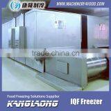 Large Output Frozen Potato Shrimp Freezer With Good Quality thumbnail-6