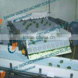 Quick-Frozen Product Conveying System thumbnail-1
