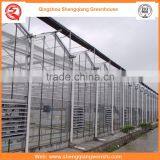 High Quality 12m Multi-span Glass Greenhouse Grow Tent for Vegetables thumbnail-3
