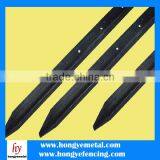 Star Picket thumbnail-3