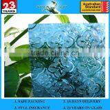 5mm Clear and Color for Flora Glass With AS/NZS 2208 thumbnail-1