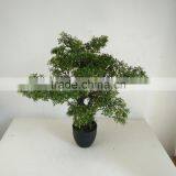 Atificial Tree Bonsai thumbnail-5