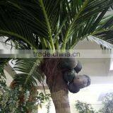 GNW APM016 Coconut Tree Artificial Plants 18ft High for Park Landscaping Outdoor Decoration thumbnail-4