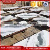 2017 New Surface China White Black Panda Marble Tile thumbnail-4