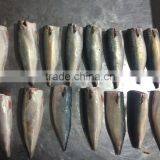 Frozen HGT Pacific Mackerel thumbnail-1