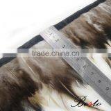 Cheap Wholesale Natural Rooster Tail Feathers for Indian Headdress Decoration thumbnail-3