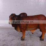 Definitive Brahman Looking Left thumbnail-1