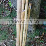 Decorative Short Bamboo Canes thumbnail-4