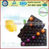 Canada Popular Wholesale Greenhouse Agriculture Products Packaging Plastic Tomato Tray thumbnail-5