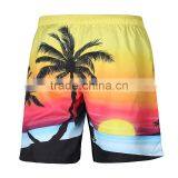 2016 New Cheap 4 Way Stretch Unisex Swimwear Surf Board Beach Comfortable Cotton Quick Dry Men's or Women's Shorts Pants thumbnail-1