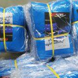 Pe Canvas thumbnail-2