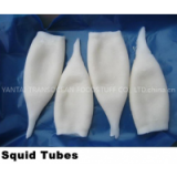 Squid Tube and Ring thumbnail-1