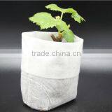 PP Non-woven Fabric,PP Spunbond Nonwoven,TNT Nonwoven Fabric thumbnail-2