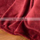 Tex-cel OEM100% Polyester Microfiber Super Soft Worm Touch Solid Flannel Fleece Blanket thumbnail-6