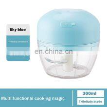 OEM Packages 45W 300ML Rechargeable Portable Electric Vegetable Chopper Mini Garlic Food Chopper thumbnail-2