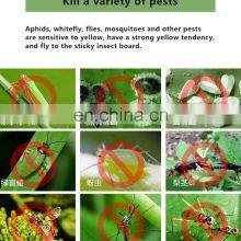 Fruit Fly Melon Fly Pheromone Glue Trap Paper Insect Sticky Board Pheromones Cards thumbnail-5