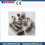 Stainless Steel Slotted Set Screw