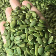 Pumpkin Seeds Kernels thumbnail-2