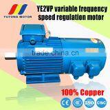 30kw 6 Pole YVP Series Frequency Variable Motor thumbnail-5
