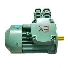 Explosion-proof Motors for Coal Mine and Petroleum Machinery Ybx4-80m1-2 0.75kw Ybx4-80m2-2 1.1kw thumbnail-3