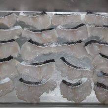 Snakehead Fish thumbnail-1