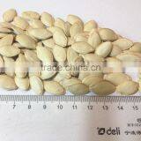 Highly Quality Barely Pumpkin Seeds/Shine Skin Pumpkin Seeds thumbnail-2