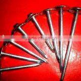 Philippines BWG9 Factory Twist Umbrella Roofing Nail thumbnail-4