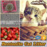 Anti-bacteria Bentonite Clumping Cat Litter Strawberry thumbnail-1