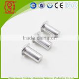 free sample price of aluminum rivet with full protection for you